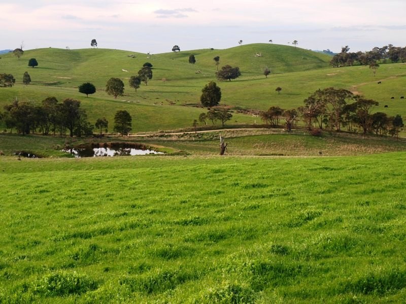 240 Ladderhill Road, Pyalong VIC 3521