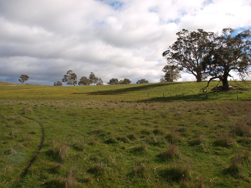 1505 Pyalong Lancefield Road, Pyalong VIC 3521