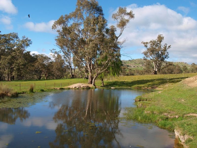 1505 Pyalong Lancefield Road, Pyalong VIC 3521