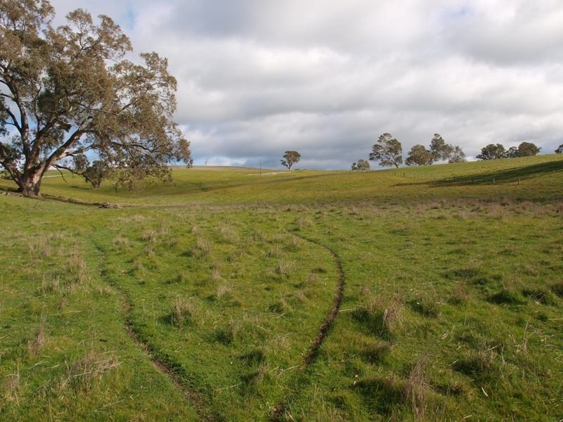 1505 Pyalong Lancefield Road, Pyalong VIC 3521