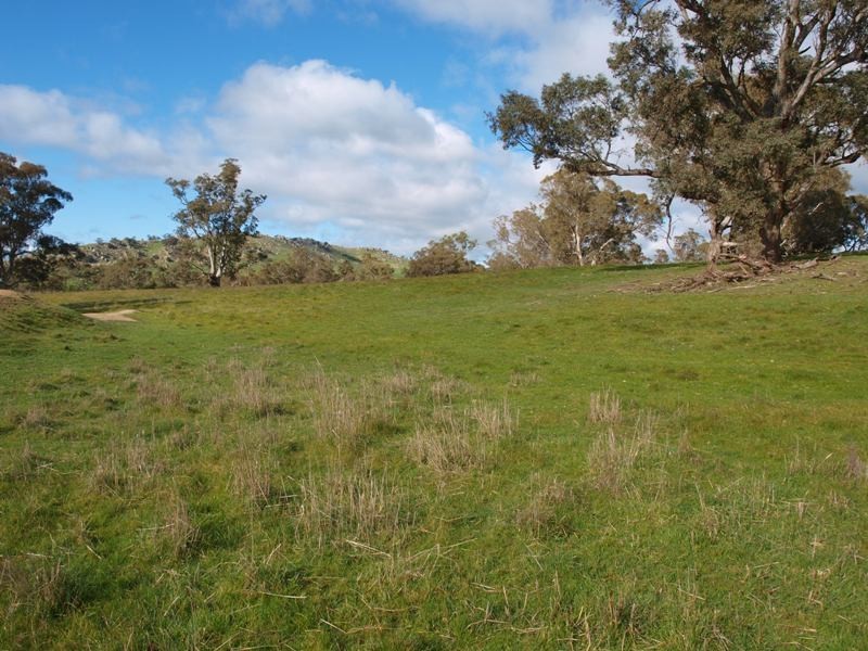 1505 Pyalong Lancefield Road, Pyalong VIC 3521