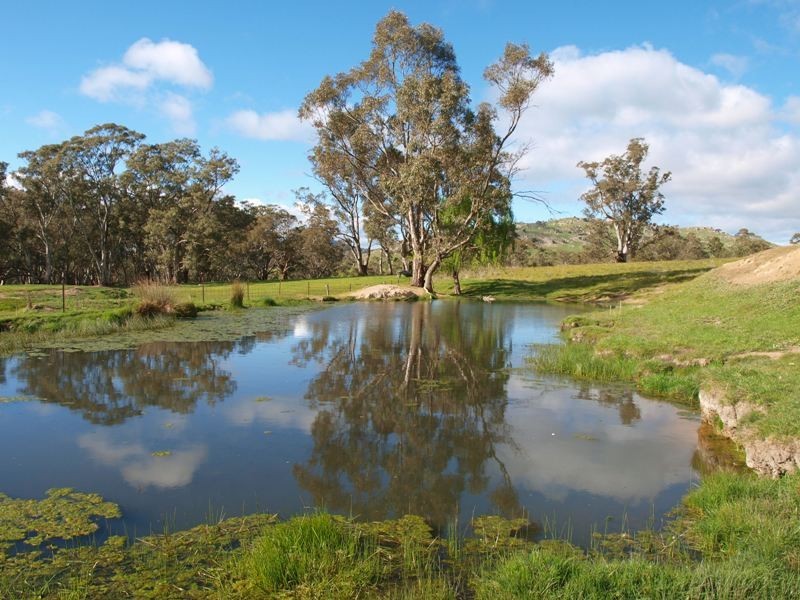 1505 Pyalong Lancefield Road, Pyalong VIC 3521