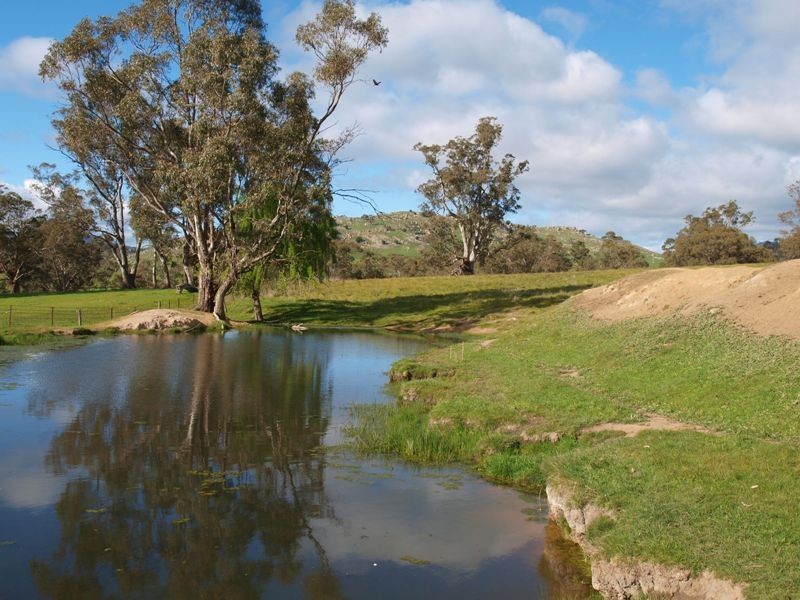 1505 Pyalong Lancefield Road, Pyalong VIC 3521