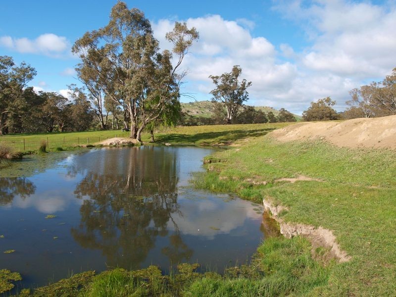 1505 Pyalong Lancefield Road, Pyalong VIC 3521