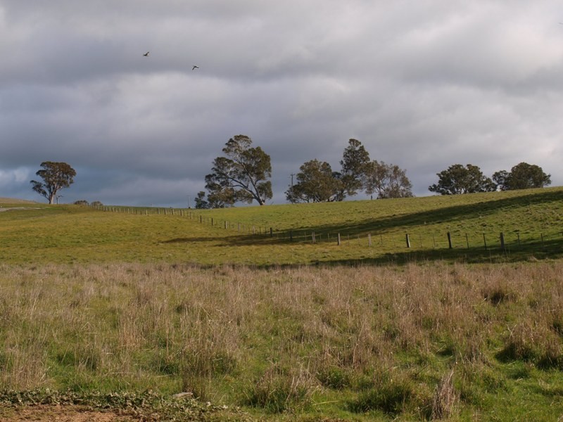 1505 Pyalong Lancefield Road, Pyalong VIC 3521