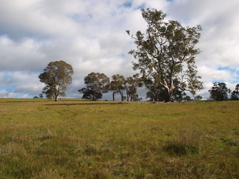 1505 Pyalong Lancefield Road, Pyalong VIC 3521