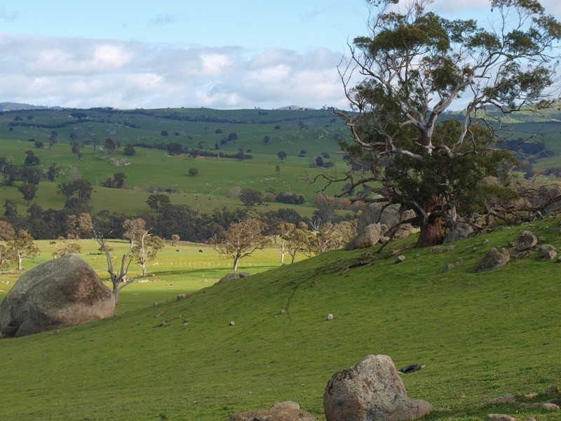 1495-1505 Pyalong Lancefield Road, Pyalong VIC 3521