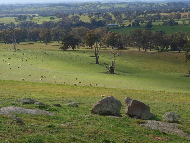 1495-1505 Pyalong Lancefield Road, Pyalong VIC 3521