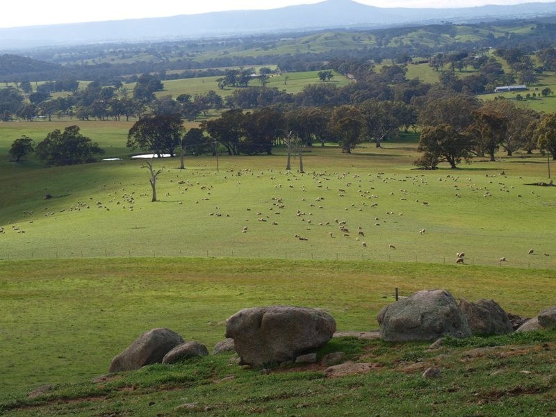 1495-1505 Pyalong Lancefield Road, Pyalong VIC 3521