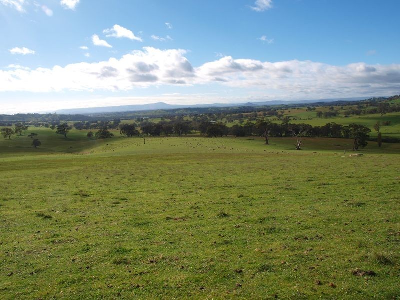 1495-1505 Pyalong Lancefield Road, Pyalong VIC 3521