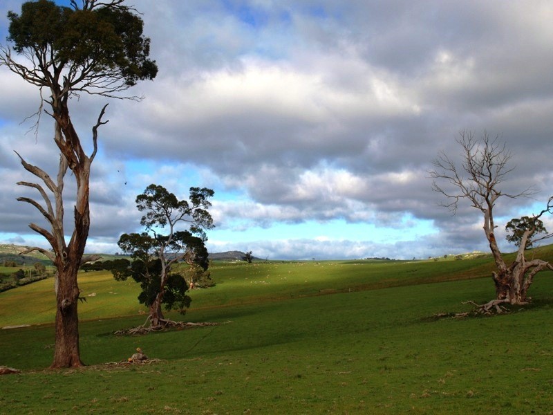 1495-1505 Pyalong Lancefield Road, Pyalong VIC 3521