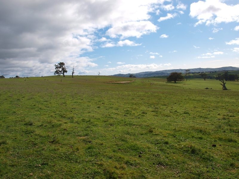 1495-1505 Pyalong Lancefield Road, Pyalong VIC 3521