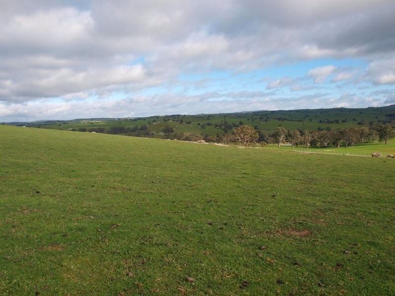 1495-1505 Pyalong Lancefield Road, Pyalong VIC 3521