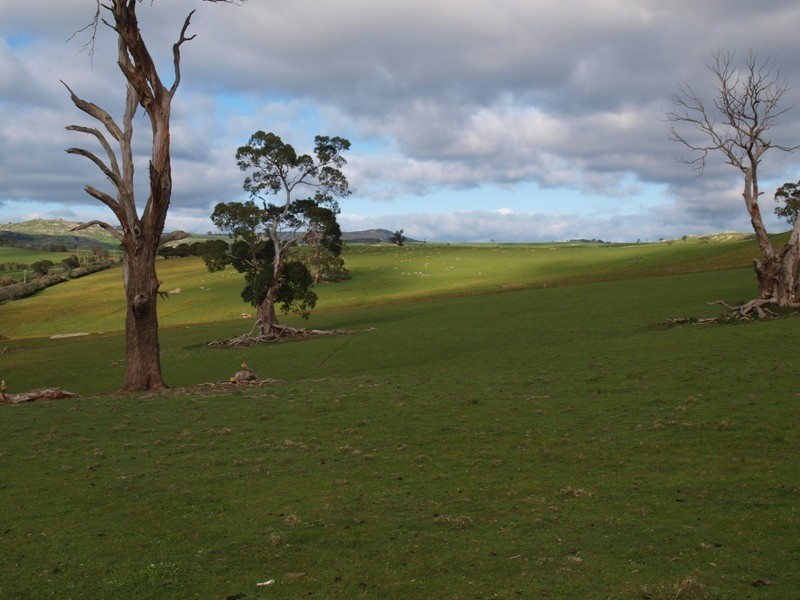 1495-1505 Pyalong Lancefield Road, Pyalong VIC 3521