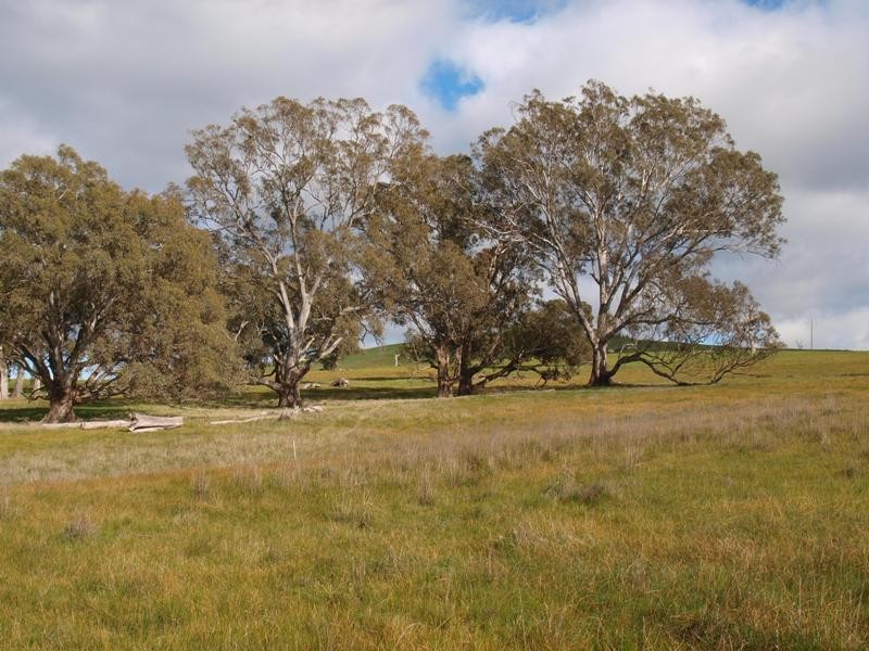 1495-1505 Pyalong Lancefield Road, Pyalong VIC 3521