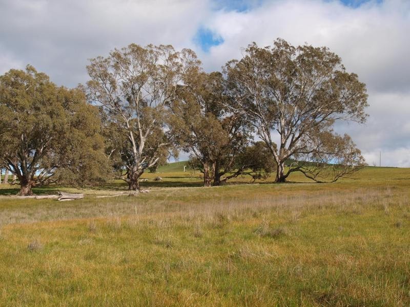 1495-1505 Pyalong Lancefield Road, Pyalong VIC 3521