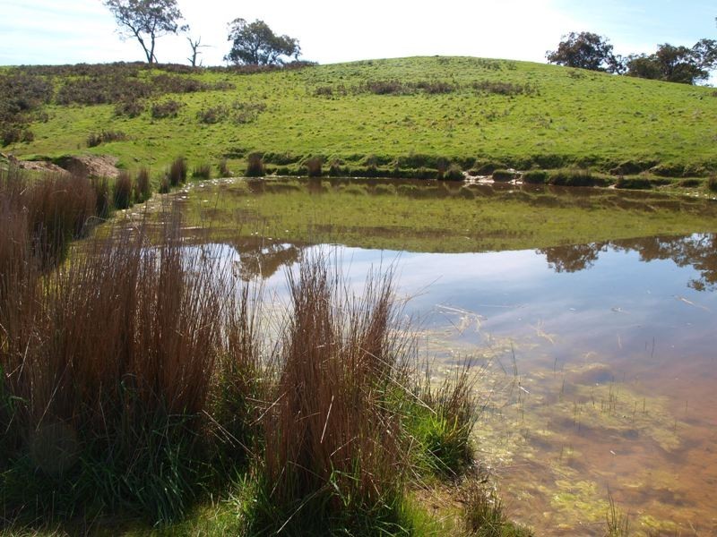 1700 Jones Road, Broadford VIC 3658