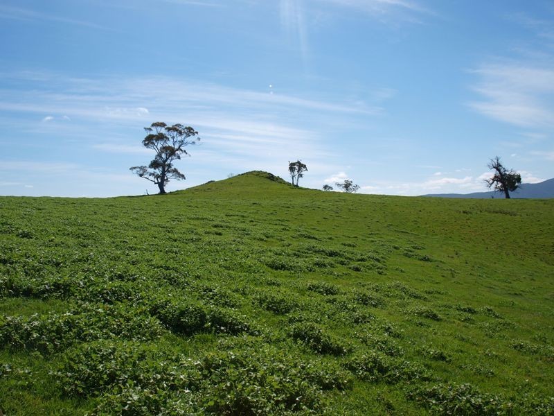 1700 Jones Road, Broadford VIC 3658