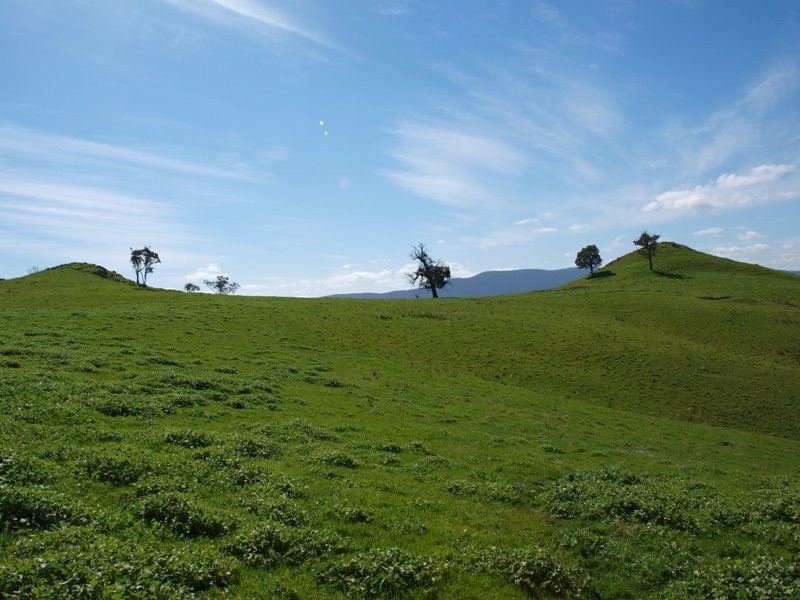 1700 Jones Road, Broadford VIC 3658