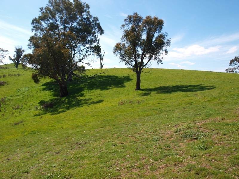 1700 Jones Road, Broadford VIC 3658