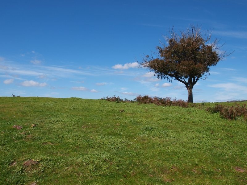 1700 Jones Road, Broadford VIC 3658