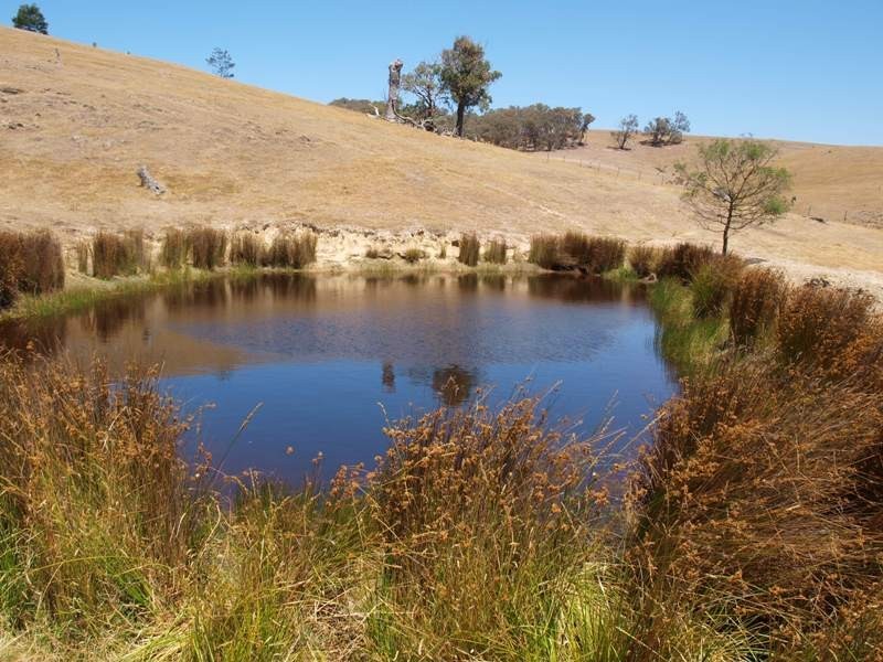 1500 Jones Road, Broadford VIC 3658