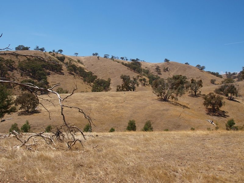 1500 Jones Road, Broadford VIC 3658