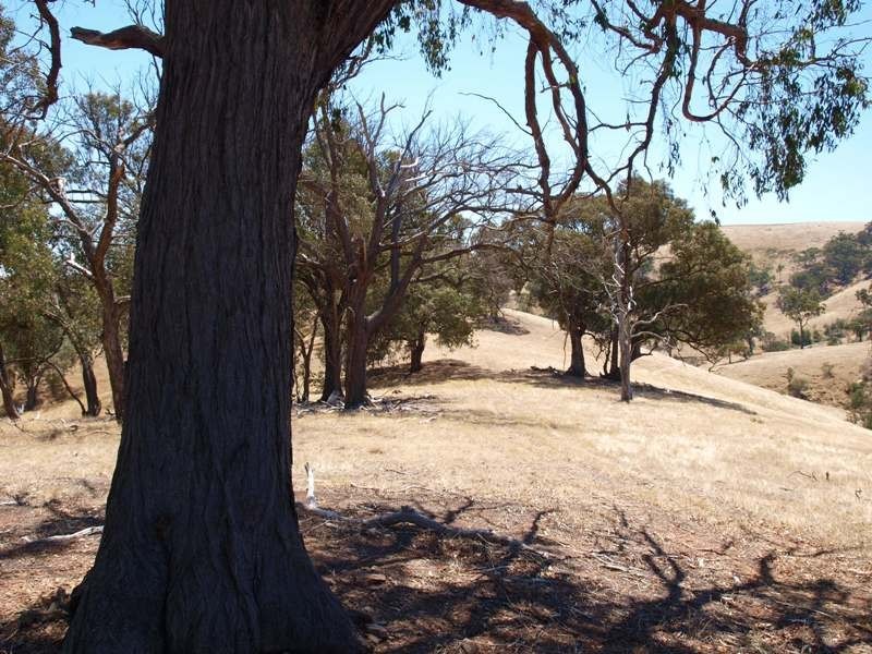 1500 Jones Road, Broadford VIC 3658