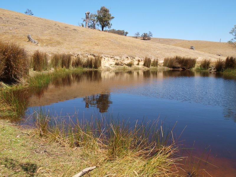 1500 Jones Road, Broadford VIC 3658