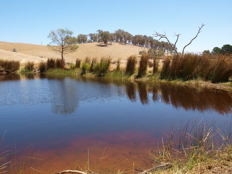 1500 Jones Road, Broadford VIC 3658