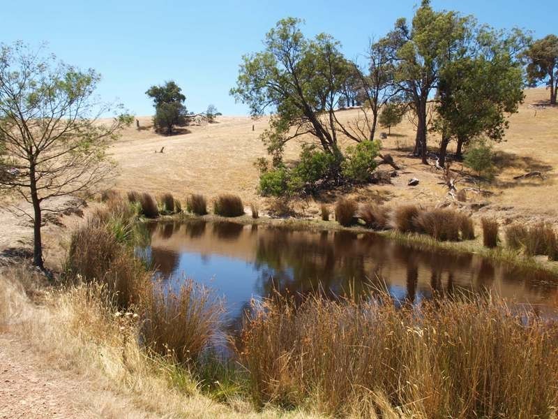 1500 Jones Road, Broadford VIC 3658