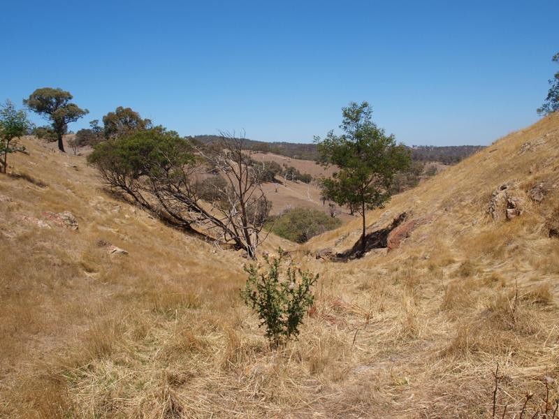 1500 Jones Road, Broadford VIC 3658