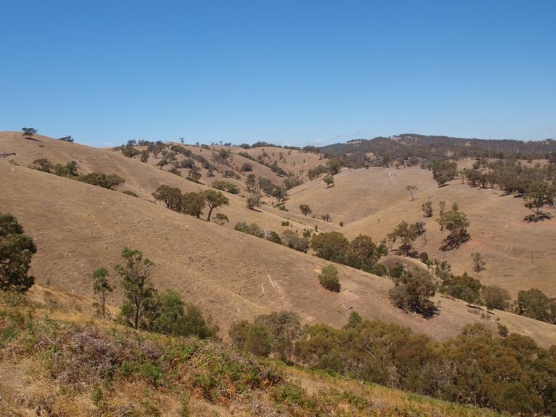 1500 Jones Road, Broadford VIC 3658