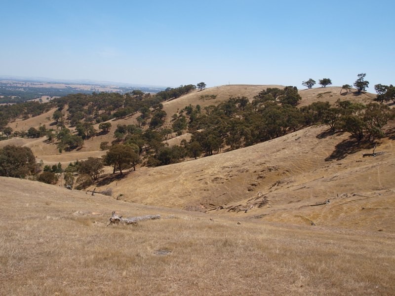 1500 Jones Road, Broadford VIC 3658