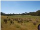 225 Seymour-Pyalong Road, Hilldene VIC 3660