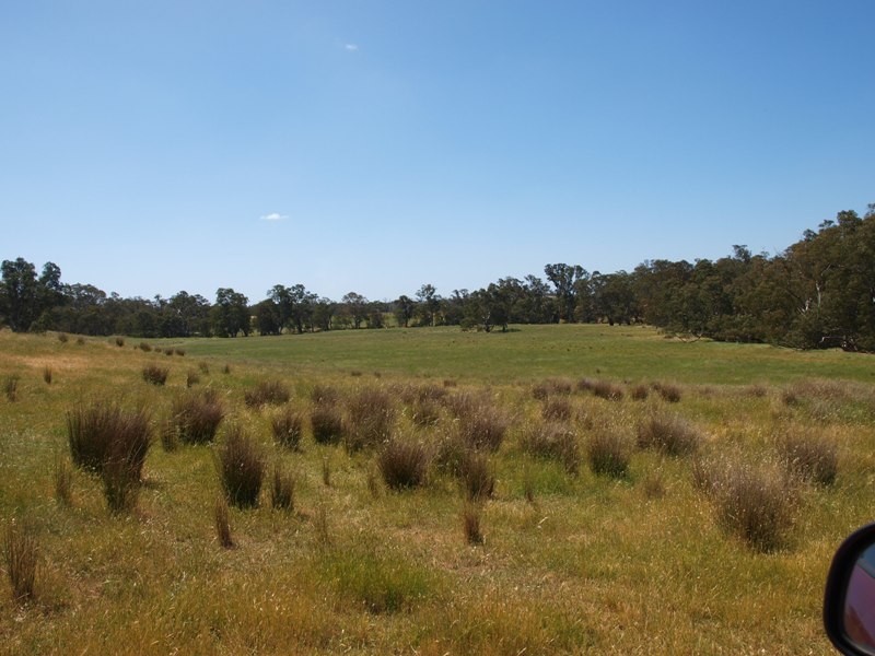 225 Seymour-Pyalong Road, Hilldene VIC 3660