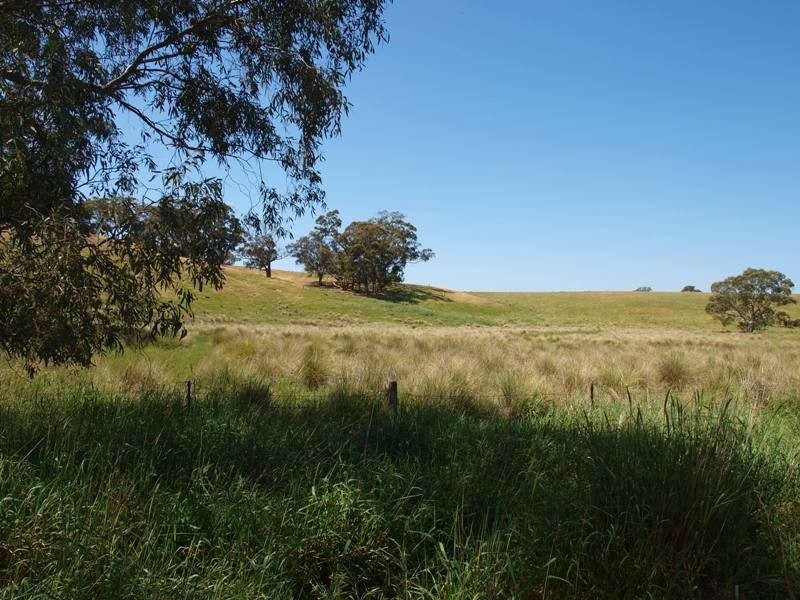 225 Seymour-Pyalong Road, Hilldene VIC 3660