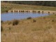 225 Seymour-Pyalong Road, Hilldene VIC 3660