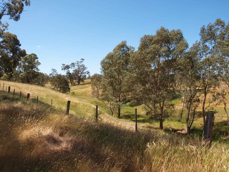 225 Seymour-Pyalong Road, Hilldene VIC 3660