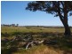 225 Seymour-Pyalong Road, Hilldene VIC 3660