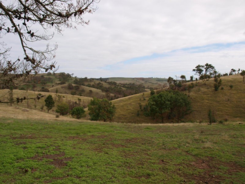 355 Saunders Road, Kilmore East VIC 3764