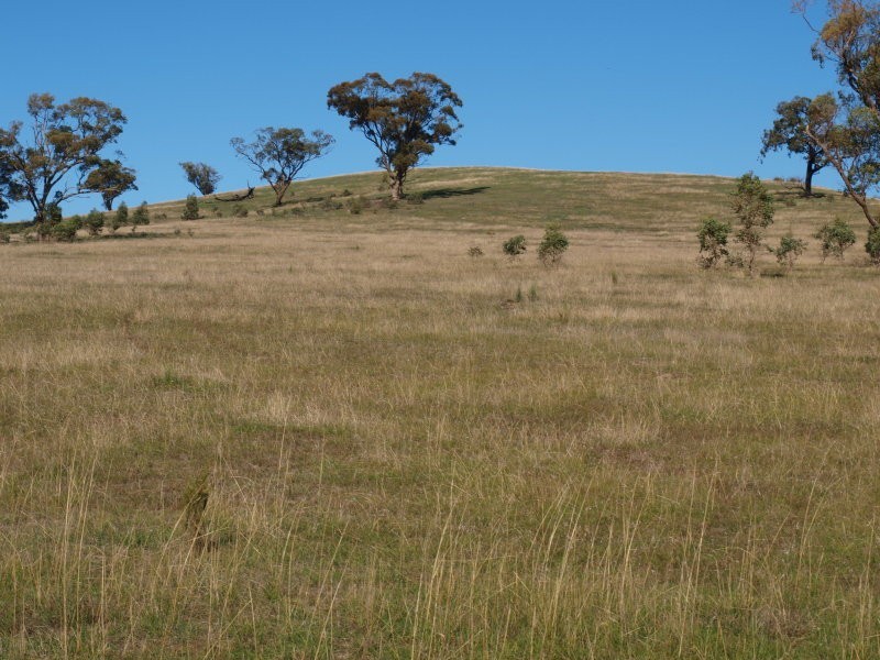 355 Saunders Road, Kilmore East VIC 3764
