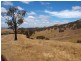 359 McNallys Road, Strath Creek VIC 3658