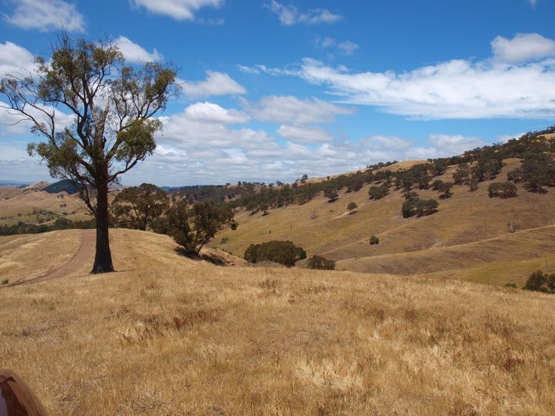 359 McNallys Road, Strath Creek VIC 3658