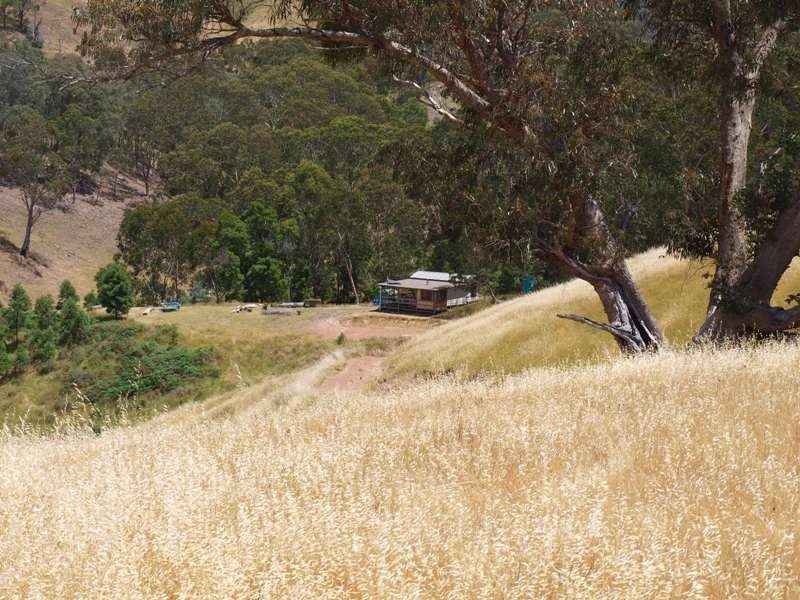 359 McNallys Road, Strath Creek VIC 3658