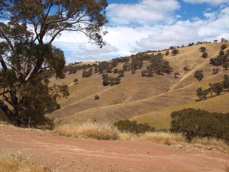 359 McNallys Road, Strath Creek VIC 3658