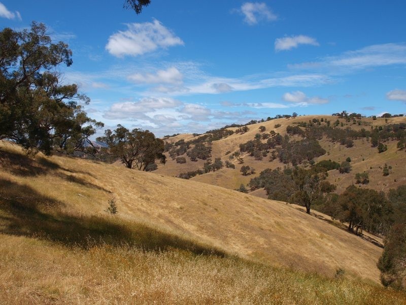 359 McNallys Road, Strath Creek VIC 3658