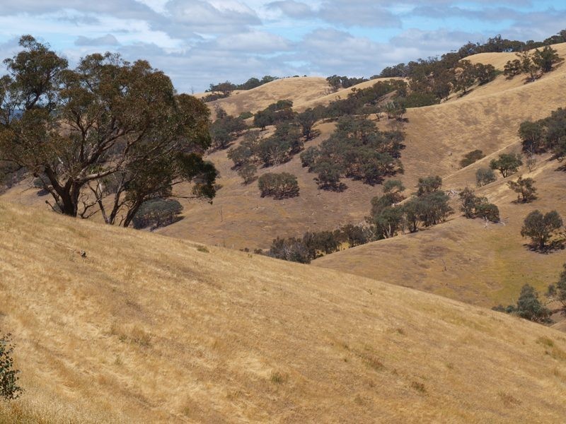 359 McNallys Road, Strath Creek VIC 3658