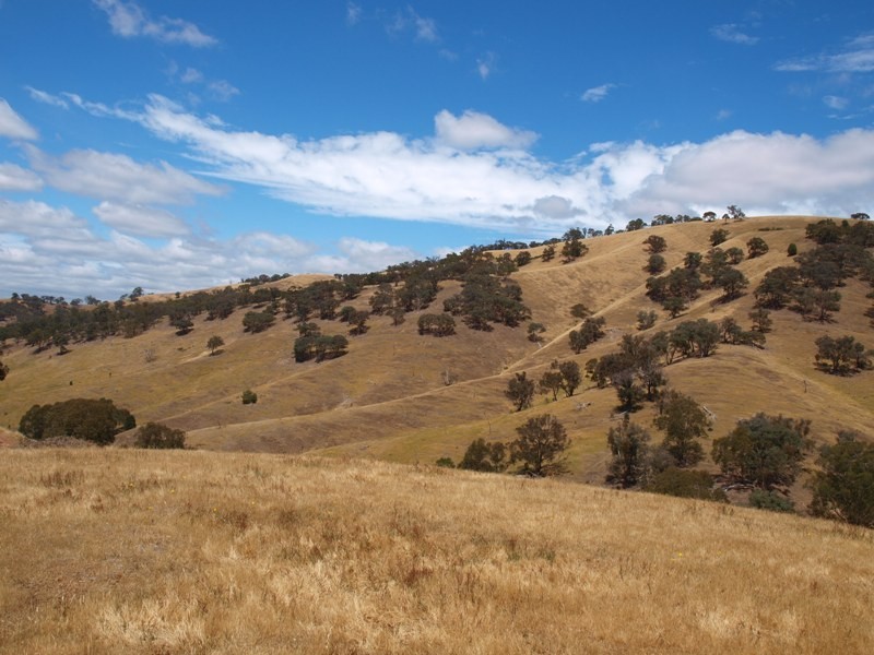 359 McNallys Road, Strath Creek VIC 3658