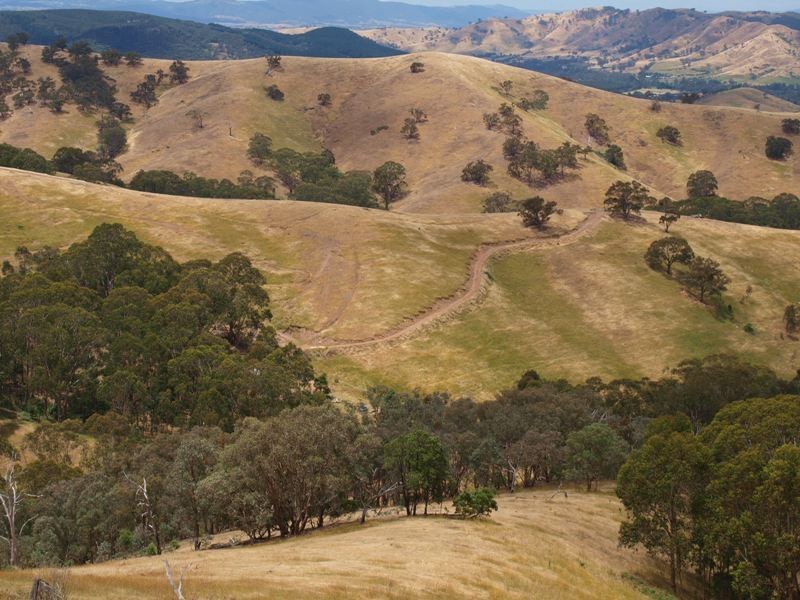 359 McNallys Road, Strath Creek VIC 3658